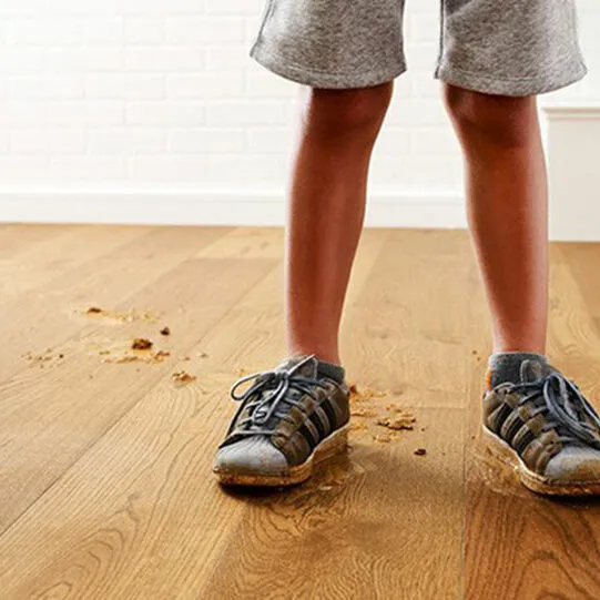dirt-derbis-hardwood-square Hardwood care | City Flooring, LLC